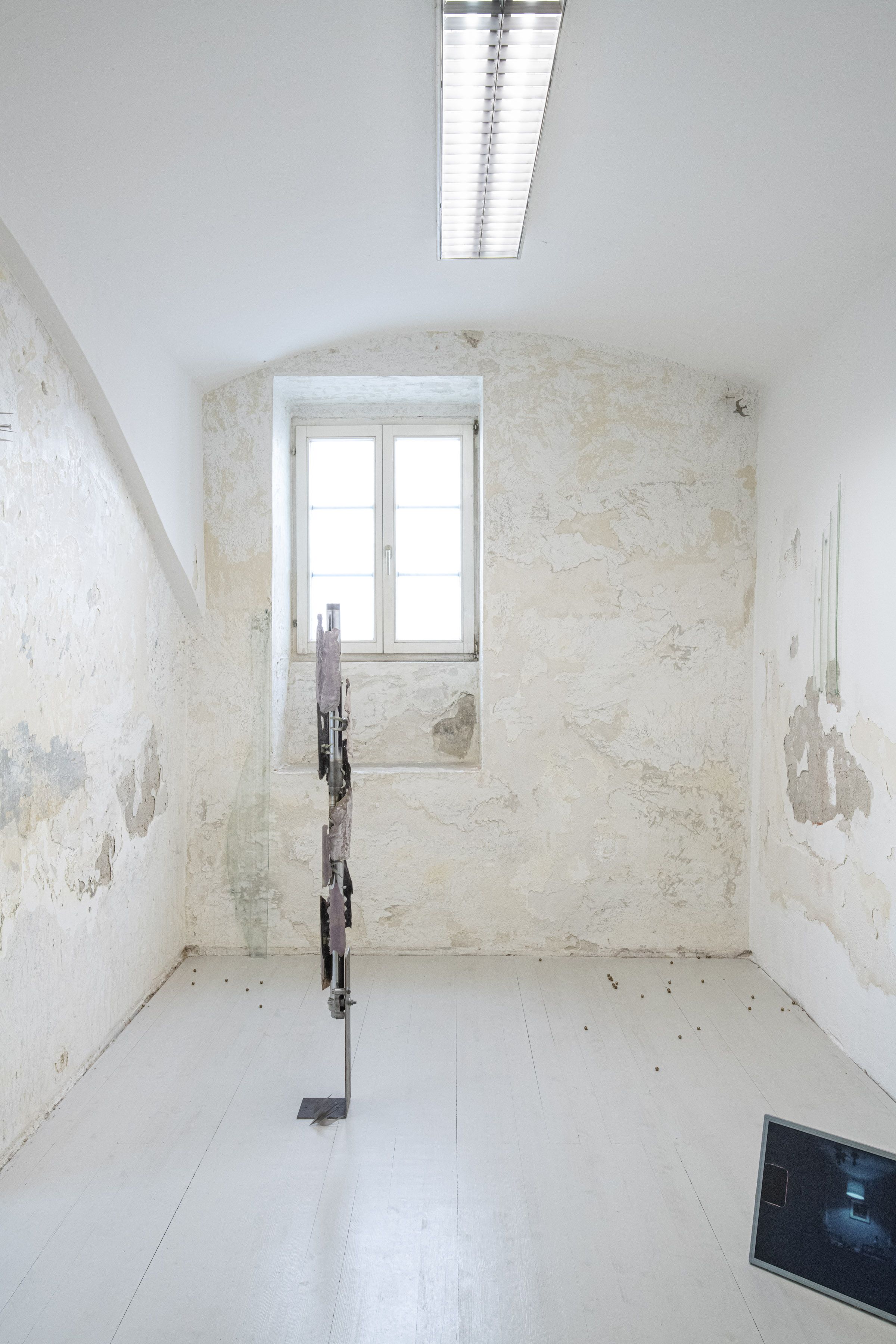 Installation view, René Stiegler, 'Anxiety Rash', Fork stanchions, Steel, PLA, Epoxy, Wax, Plaster, 140 x 21 x 21 cm, 2023, Ömer Faruk Kaplan, 'Skins', Floatglas, 160 x 19.5 x 4 cm, 2025, Ömer Faruk Kaplan, 'Skins', Floatglas, 80 x 24.5 x 3 cm, 2024, Yixuan Hu, 'ever migrate, ever escape', (“而你心中的鸟群，时时要迁徙，时时要逃避”) Plastic, Compass, 10 x 7 x 7 cm, 11 x 7.7 x 7.7 cm, 2025, Ilinca Fechete, 'NOST - ALGAE, ALGIA', Super 8 film, Re-Stabilized, 15:55 min, 2022 – 2023 